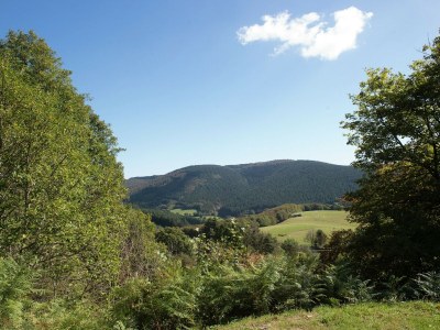 Holiday house Schönes Ferienhaus mit Garten - Environment photo 32