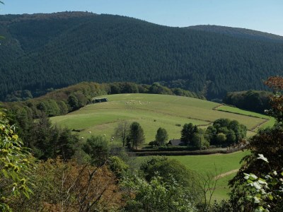 Holiday house Unique holiday home in Saint-Honoré-les-Bains - Environment photo 21