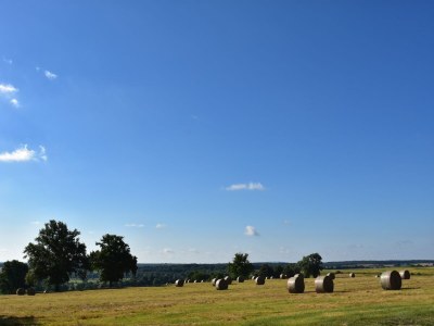 Holiday house Unique holiday home in Saint-Honoré-les-Bains - Environment photo 25