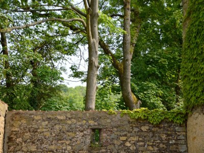 Holiday house Hütte in Wierre-Effroy am Wald - Outdoor photo 12