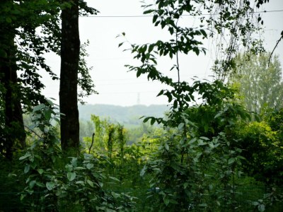 Holiday house Hütte in Wierre-Effroy am Wald - Outdoor photo 15