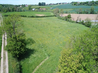 Holiday house Hütte in Wierre-Effroy am Wald - Environment photo 32