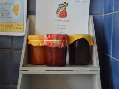 Holiday house Hütte in Wierre-Effroy am Wald - Outdoor photo 37