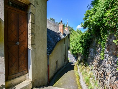 Apartment Villa in Saint-Nectaire near Ski Slopes - Features photo 19