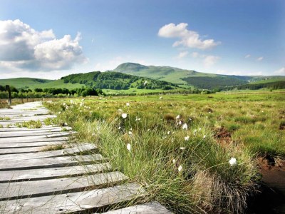 Apartment Villa in Saint-Nectaire near Ski Slopes - Environment photo 20