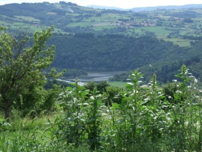 Apartment Villa in Saint-Nectaire near Ski Slopes - Environment photo 25