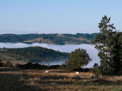 Apartment Villa in Saint-Nectaire near Ski Slopes - Environment photo 32