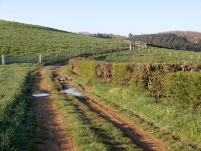 Apartment Villa in Saint-Nectaire near Ski Slopes - Environment photo 35