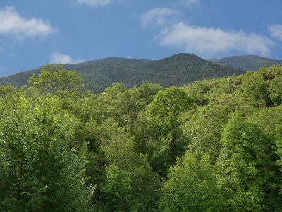 Villa Villa in Pyrenäen mit Bergblick - Outdoor photo 7