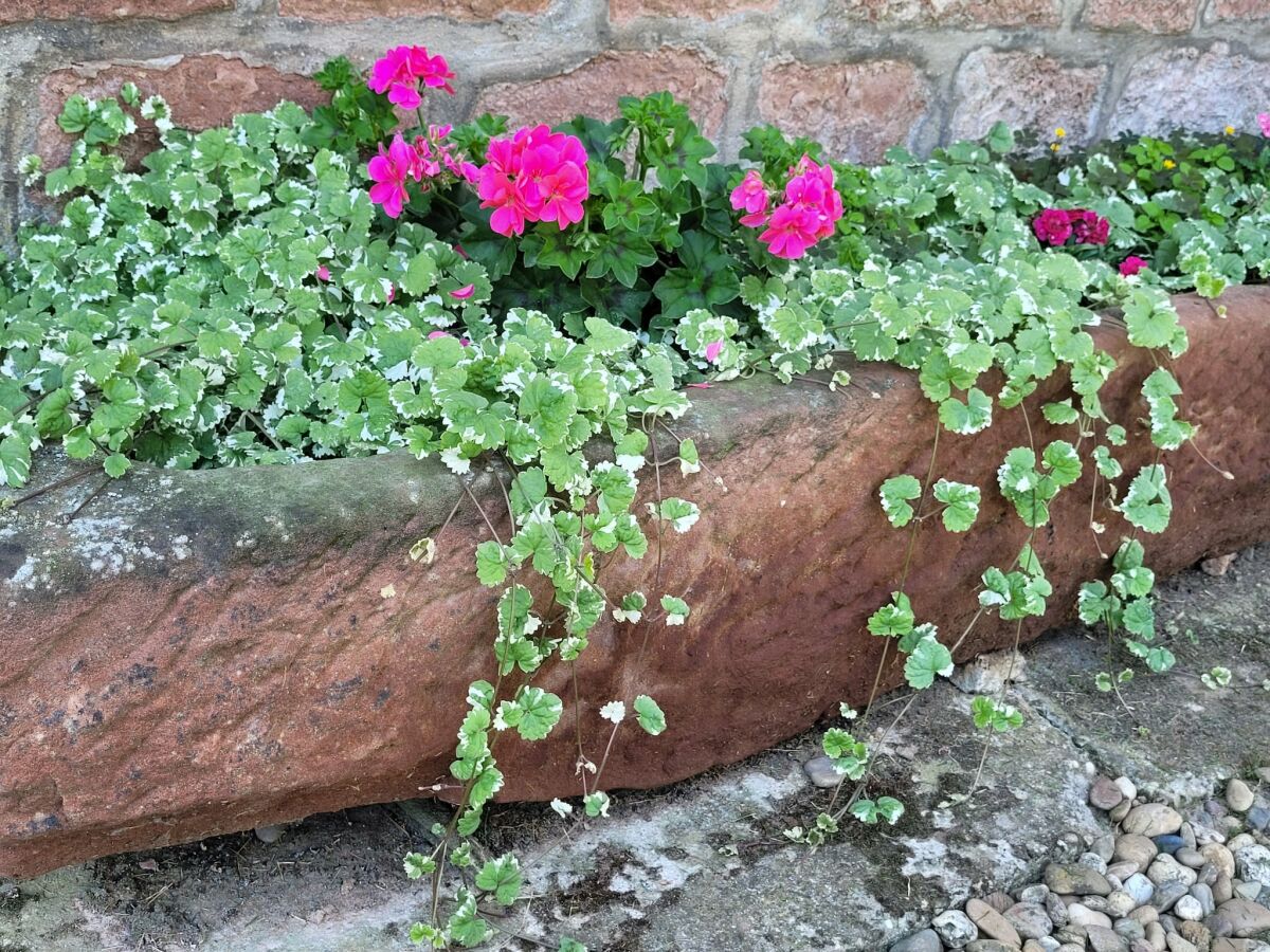 Holiday house Holiday Home Alsace near Vosges Nature Park - Outdoor photo 3