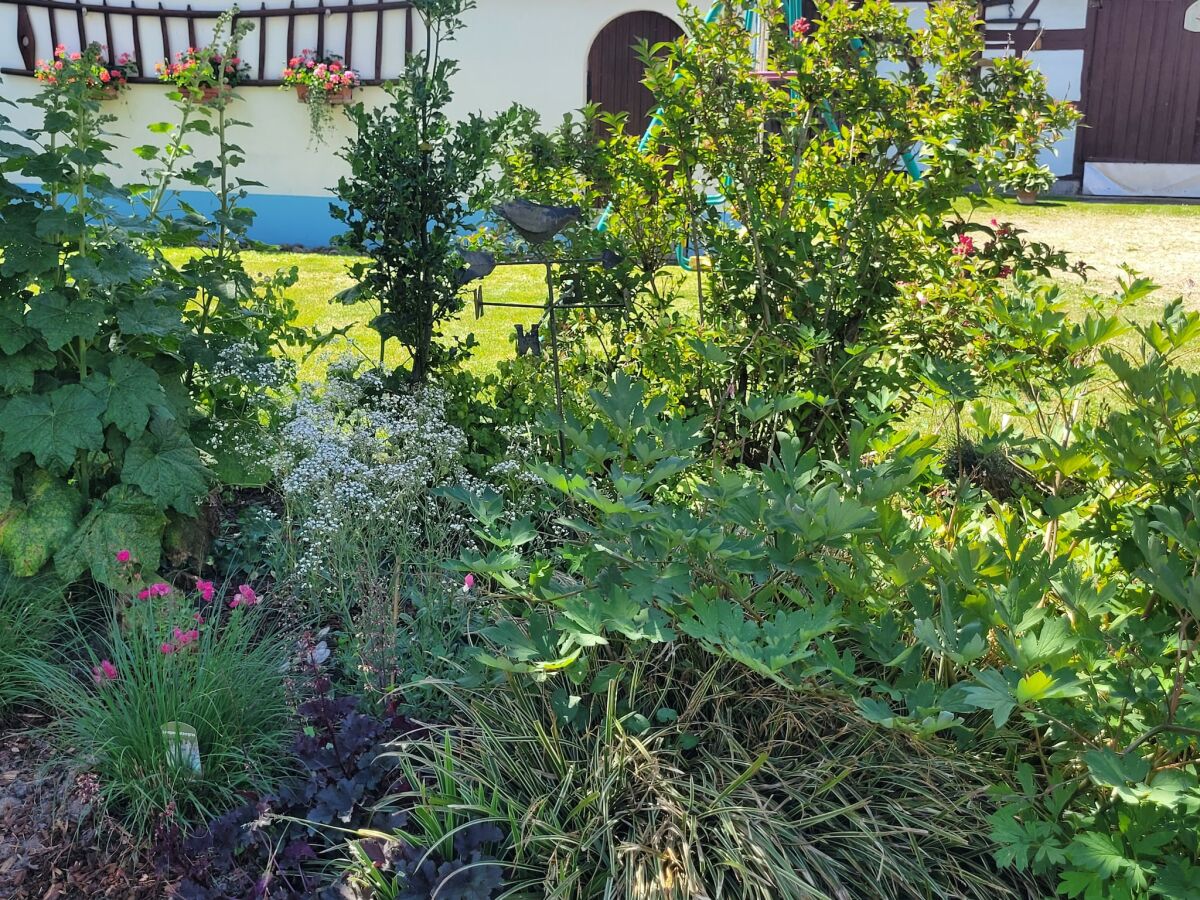 Holiday house Holiday Home Alsace near Vosges Nature Park - Outdoor photo 4