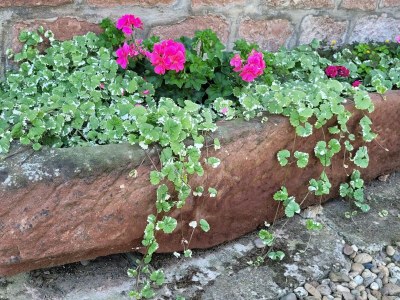 Holiday house Holiday Home Alsace near Vosges Nature Park - Outdoor photo 3