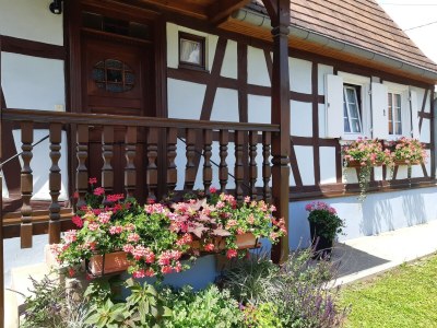 Holiday house Holiday Home Alsace near Vosges Nature Park - Outdoor photo 7