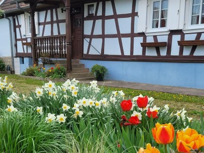 Holiday house Holiday Home Alsace near Vosges Nature Park - Outdoor photo 9