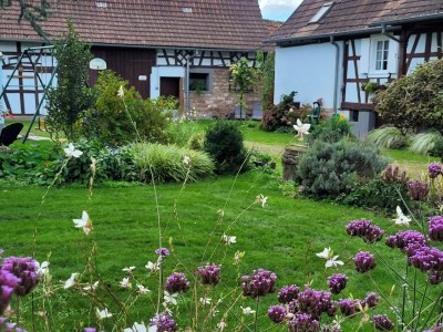 Holiday house Holiday Home Alsace near Vosges Nature Park - Outdoor photo 10
