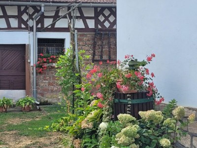 Holiday house Holiday Home Alsace near Vosges Nature Park - Outdoor photo 11