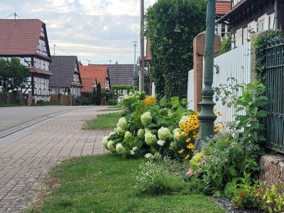 Holiday house Holiday Home Alsace near Vosges Nature Park - Environment photo 34