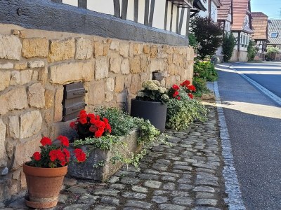 Holiday house Holiday Home Alsace near Vosges Nature Park - Environment photo 35