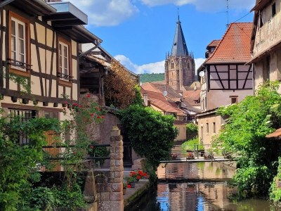 Holiday house Holiday Home Alsace near Vosges Nature Park - Environment photo 36