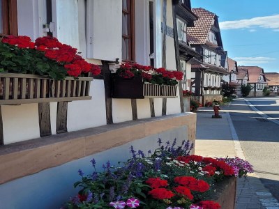 Holiday house Holiday Home Alsace near Vosges Nature Park - Outdoor photo 40