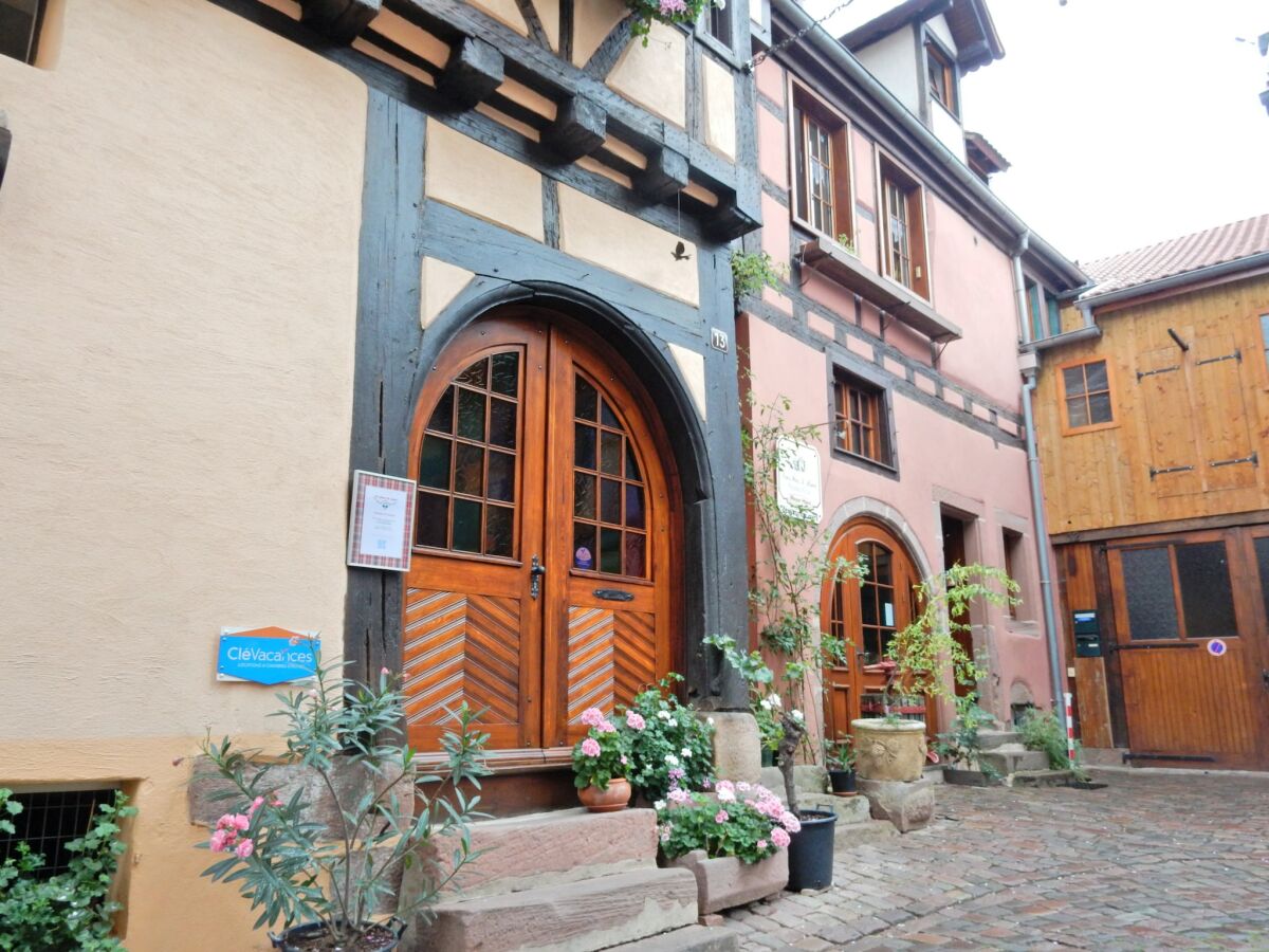 Apartment Wohnung in Riquewihr bei Weinbergen - Outdoor photo 5