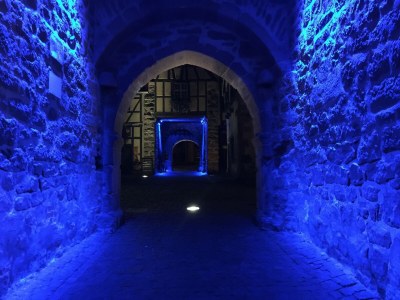 Apartment Wohnung in Riquewihr mit Terrasse - Environment photo 21