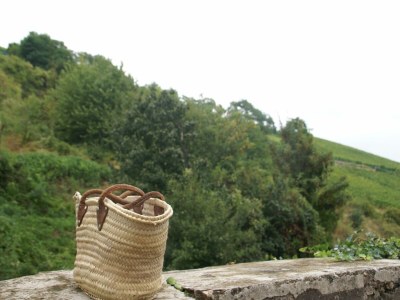 Apartment Wohnung in Riquewihr mit Terrasse - Environment photo 29