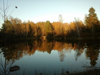 Holiday house Schönes Ferienhaus mit großem Garten - Environment photo 24