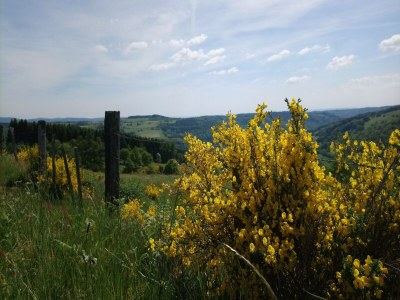 Holiday house Schönes Ferienhaus mit großem Garten - Environment photo 25