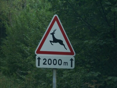 Holiday house Schönes Ferienhaus mit großem Garten - Environment photo 26