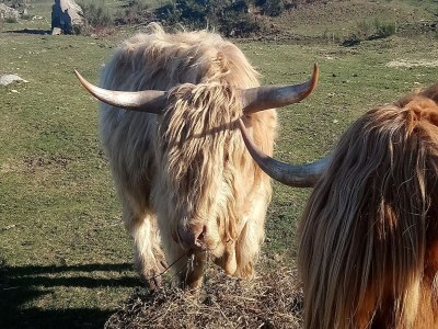 Holiday house Schönes Ferienhaus mit großem Garten - Environment photo 28