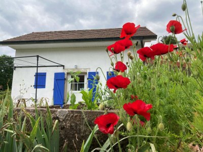 Holiday house Schönes Ferienhaus mit großem Garten - Outdoor photo 30