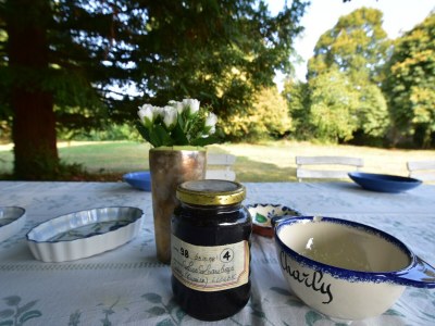 Cottage Haus in Burgund mit Privatpool - Outdoor photo 40