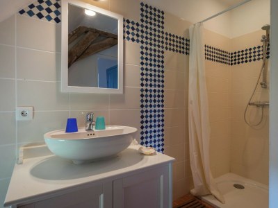 Holiday house Historic Home Saint-Aignan by Lake - Features photo 15