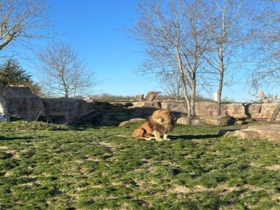 Holiday house Historic Home Saint-Aignan by Lake - Environment photo 22