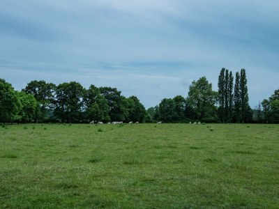 Holiday house Historic Home Saint-Aignan by Lake - Environment photo 23