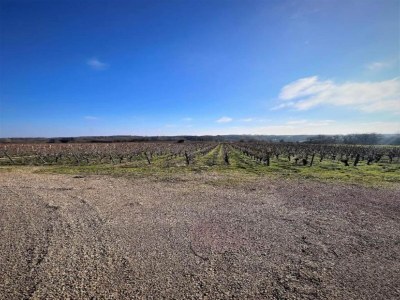 Holiday house Historic Home Saint-Aignan by Lake - Environment photo 26
