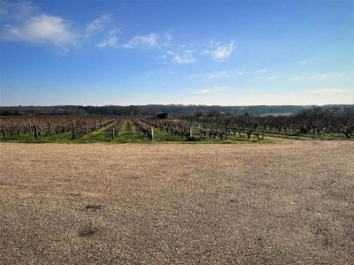 Holiday house Historic Home Saint-Aignan by Lake - Environment photo 27