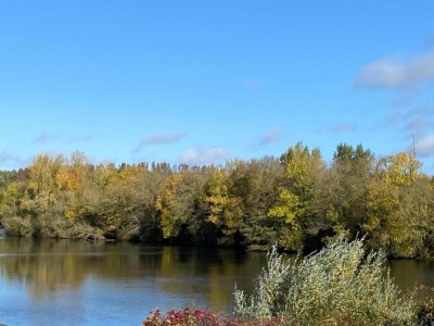 Holiday house Historic Home Saint-Aignan by Lake - Environment photo 32