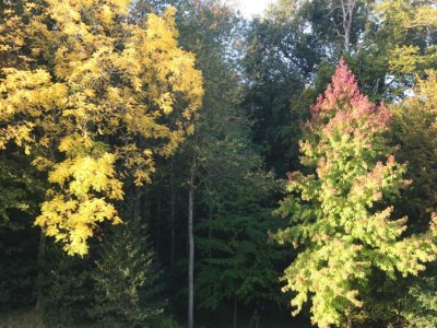 Holiday house Historic Home Saint-Aignan by Lake - Environment photo 35