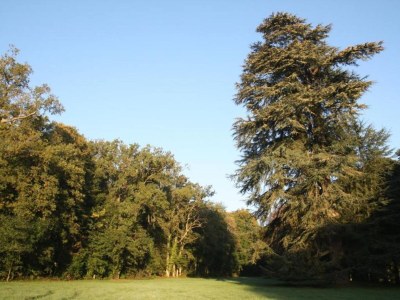 Holiday house Historic Home Saint-Aignan by Lake - Environment photo 36