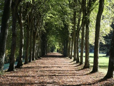 Holiday house Historic Home Saint-Aignan by Lake - Environment photo 38
