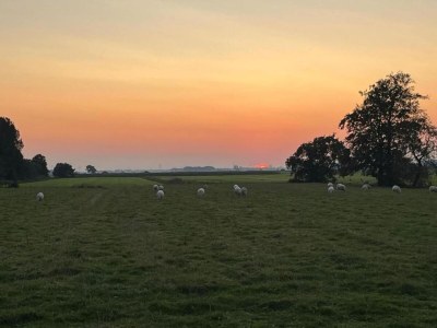 Holiday house Historic Home Saint-Aignan by Lake - Environment photo 40