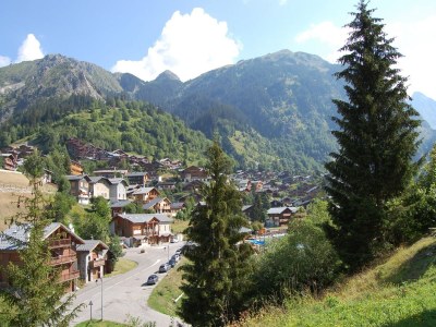 Chalet Magnificent chalet with sauna - Environment photo 25