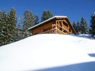 Chalet Chalet in Les Gets with Ski-In/Ski-Out Access - Outdoor photo 5