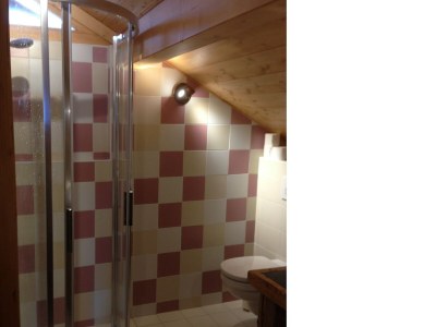 Chalet Chalet in Les Gets with Ski-In/Ski-Out Access - Features photo 32