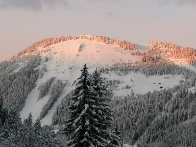 Chalet Chalet in Châtel nahe Les Portes du Soleil - Environment photo 34