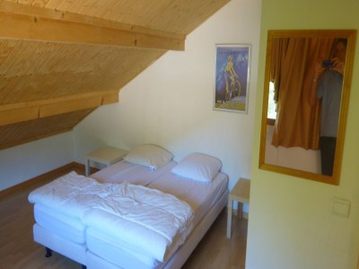 Chalet Chalet in Saint-Jean nahe Skilift - Features photo 14