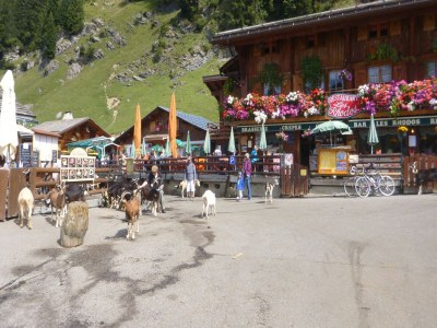 Chalet Chalet in Saint-Jean nahe Skilift - Environment photo 21