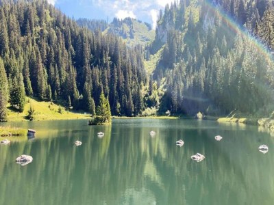 Chalet Chalet in Saint-Jean nahe Skilift - Environment photo 38